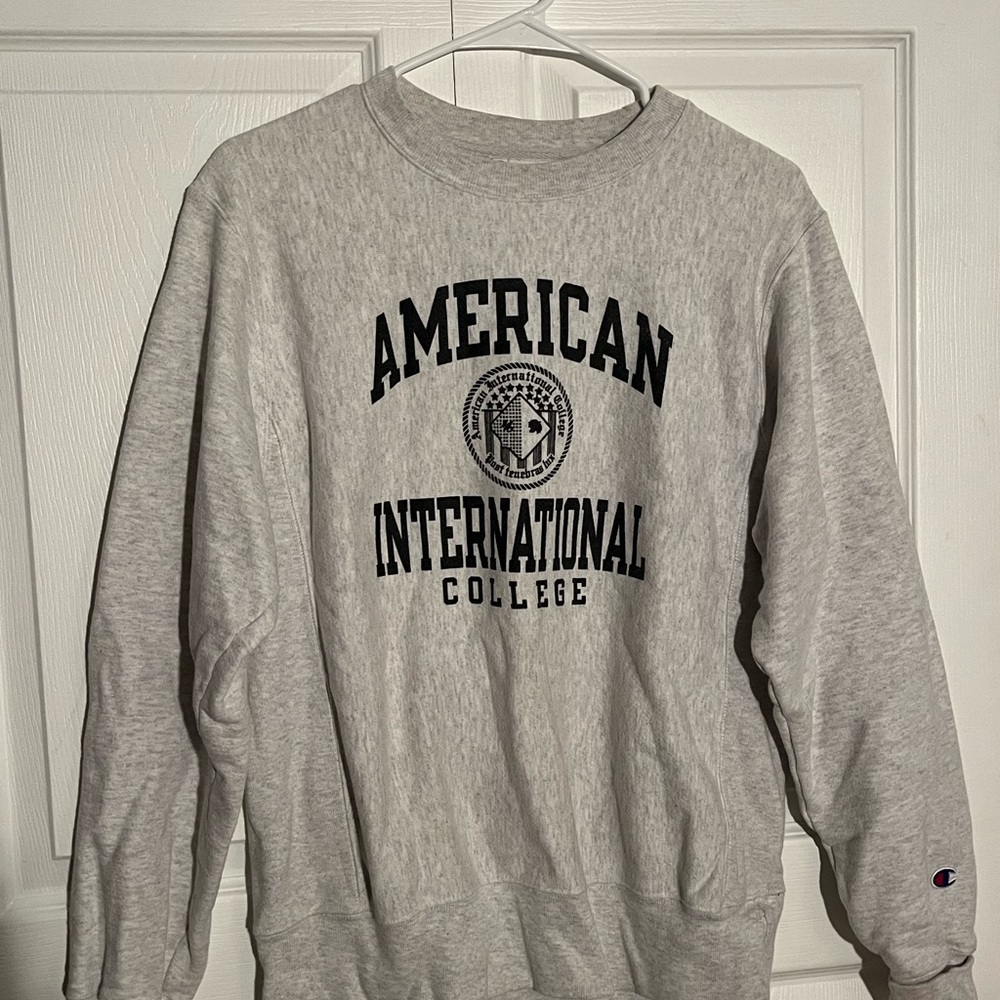 Champion Grey American International College Men's Sweater